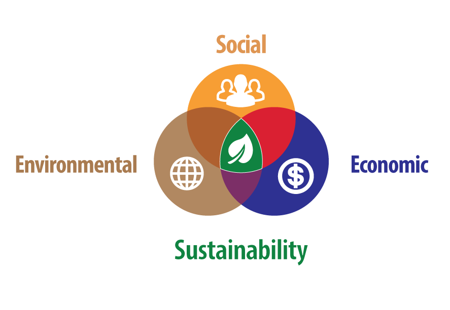 What makes a sustainable organization over the course of human history?
